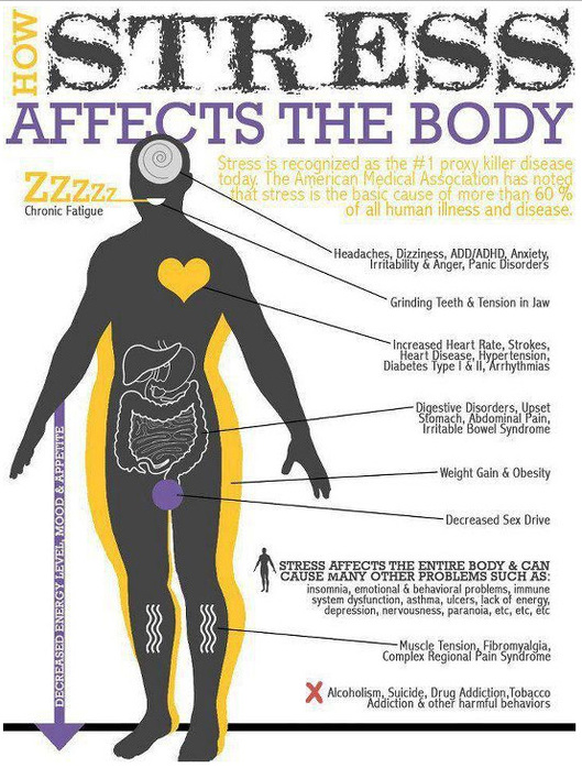 How Stress effects the body